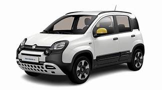 Fiat Panda 1.0 Ibrida bianca (600)